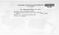 Image Associated With the Occurence